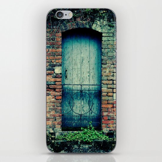 Blue Door iPhone & iPod Skin