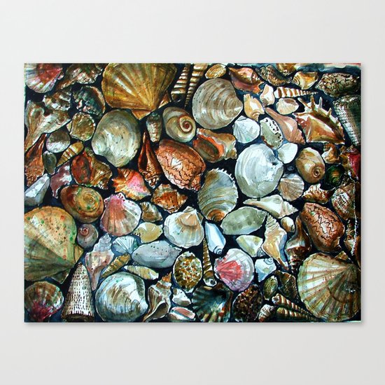 Sea shells Canvas Print