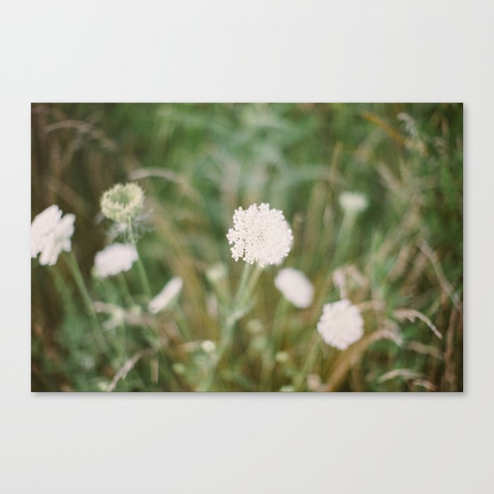 Spring Flower  Canvas Print