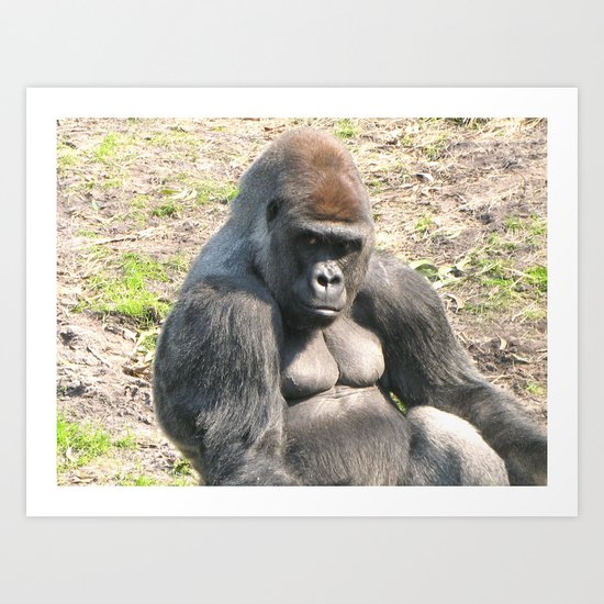Lowland Gorilla Art Print