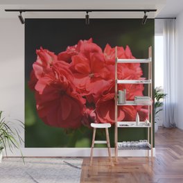 Red flower  Wall Mural