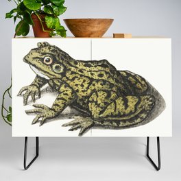 Frog Credenza