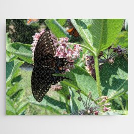 Eastern Black Swallowtail Butterfly Jigsaw Puzzle