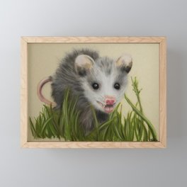 Baby Possum Framed Mini Art Print