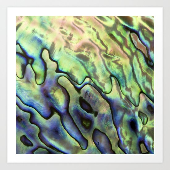 Sea Shell Texture Art Print