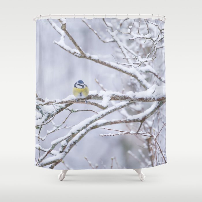 Blue Tit On A Snowy Branch Winter Scene Shower Curtain By