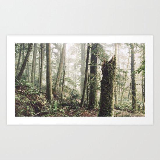 Wise Woods Art Print
