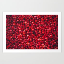 Pile of Lingonberries Art Print