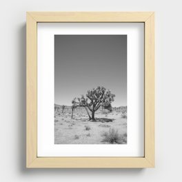 Joshua Tree Recessed Framed Print