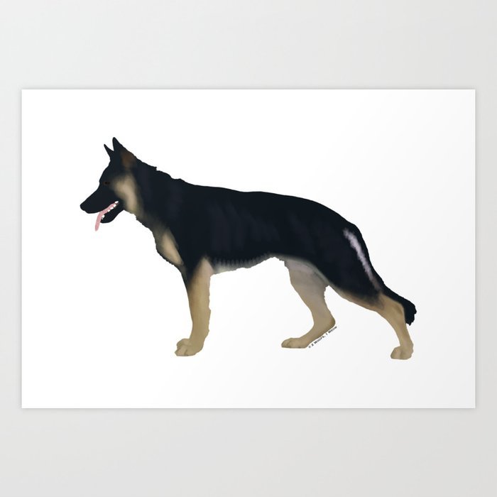Blanket black and store tan german shepherd