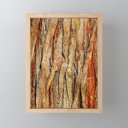 Tree bark texture | Abstract nature background Framed Mini Art Print