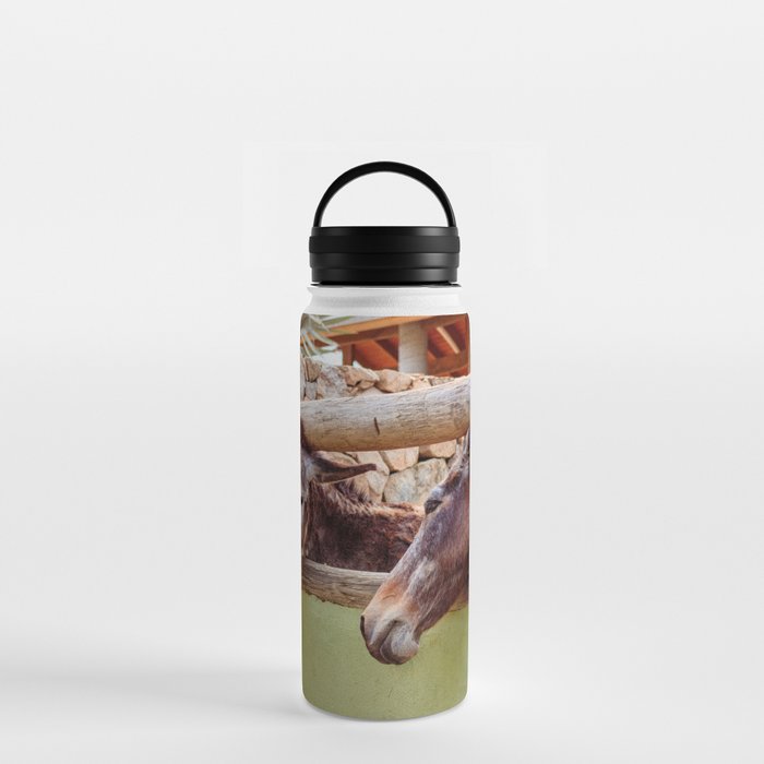 Anton Photo & Design Water Bottle