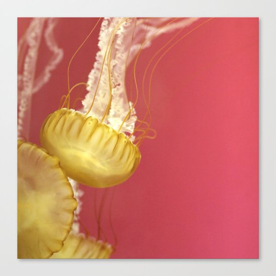 Jelly #4 Canvas Print