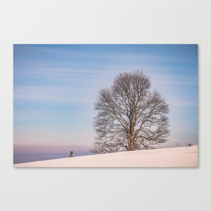 The lonely tree on a winter day Canvas Print