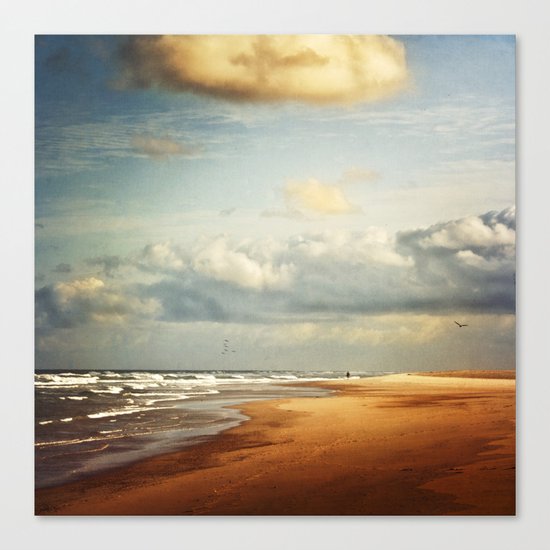 my dream beach Canvas Print