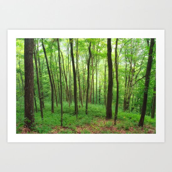 Forest 3 Art Print