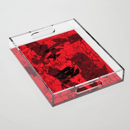 Shadow of the Samurai Acrylic Tray