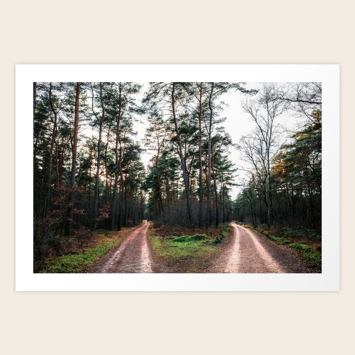 Forest Route Path Adventure Landscape Photography Nature Trees Netherlands Art Print By Fodeo