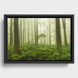 Dreaming of Appalachia - Nature Photography Digital Landscape Framed Canvas