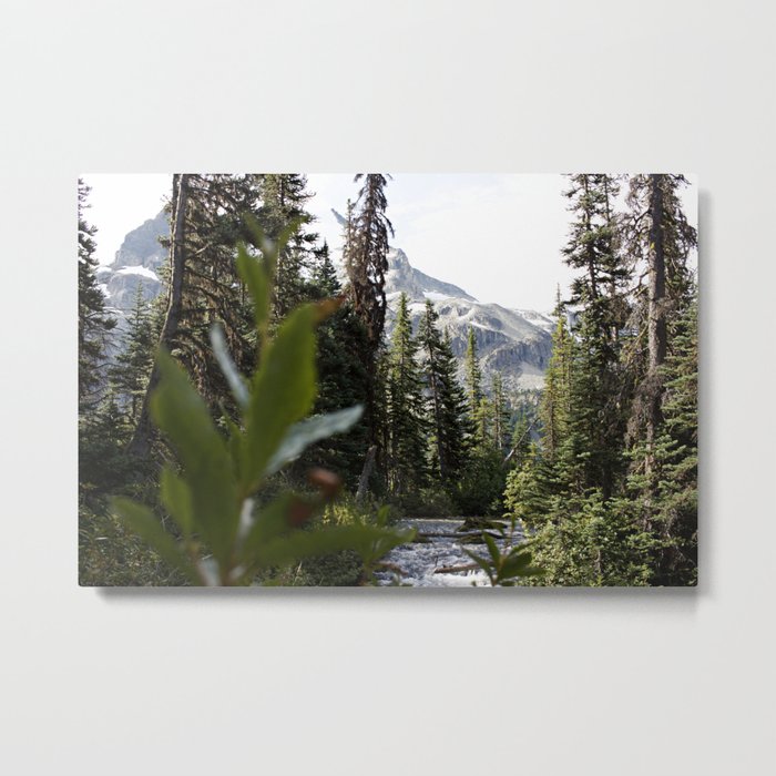 Into the Wild while in Whistler Canada Metal Print