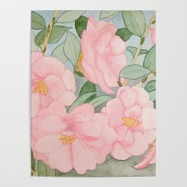 Watercolor Magnolia Poster