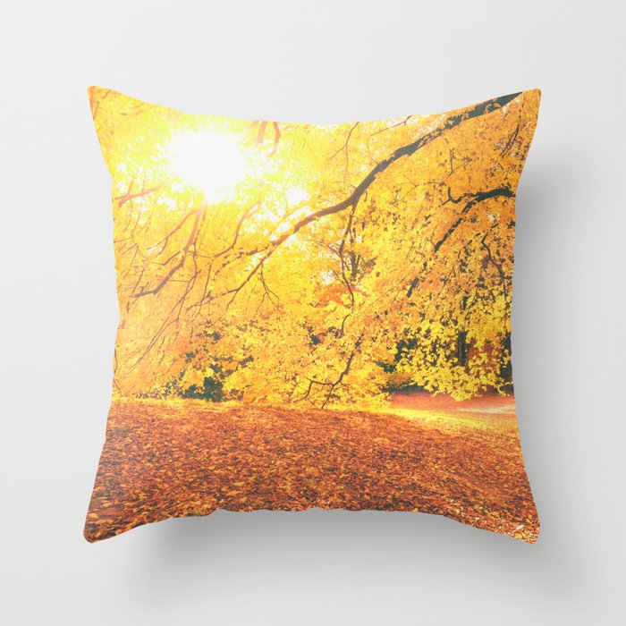 New York City Throw Pillow