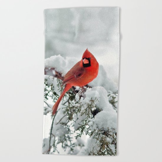 Cardinal on Snowy Branch Beach Towel