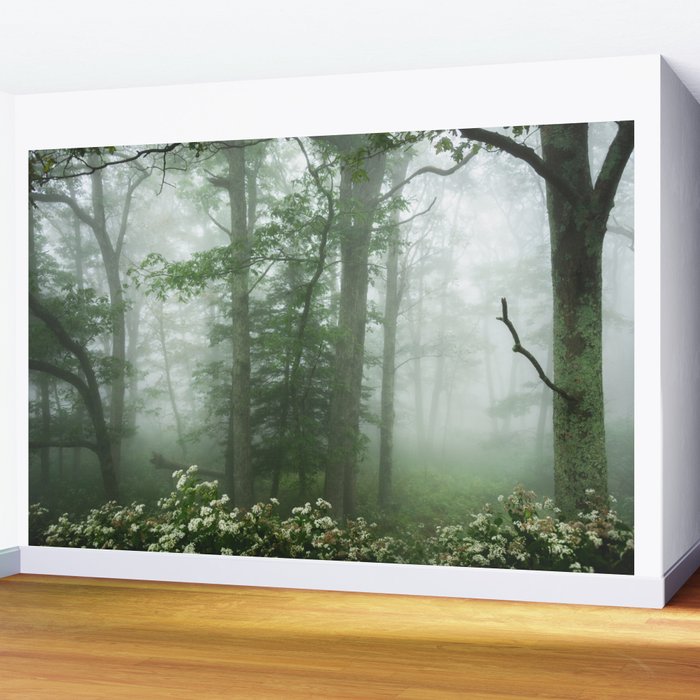 Appalachian Jungle Ii 55 365 Nature Photography Wall Mural