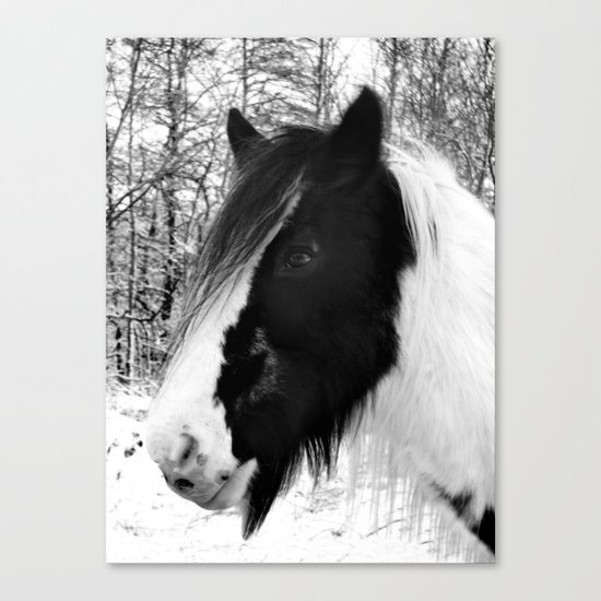 Horse. Black+White.Snow. Canvas Print