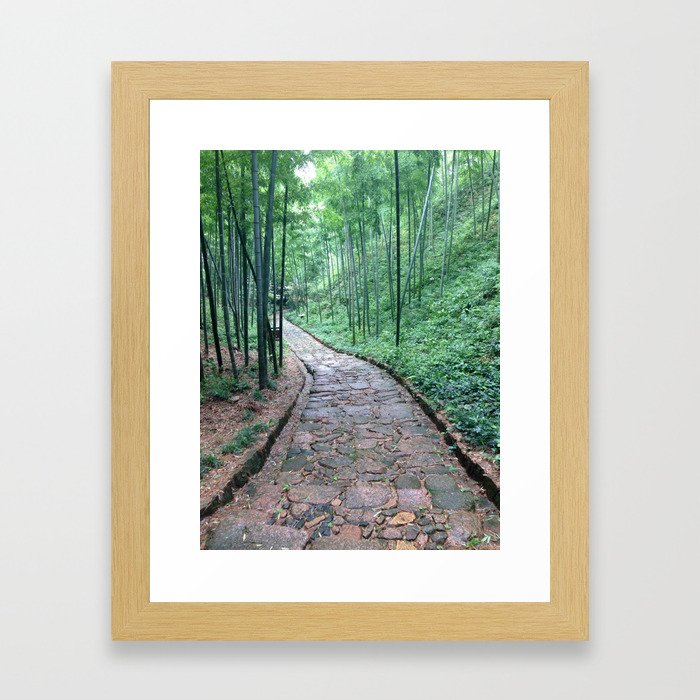 Bamboo trail Framed Art Print