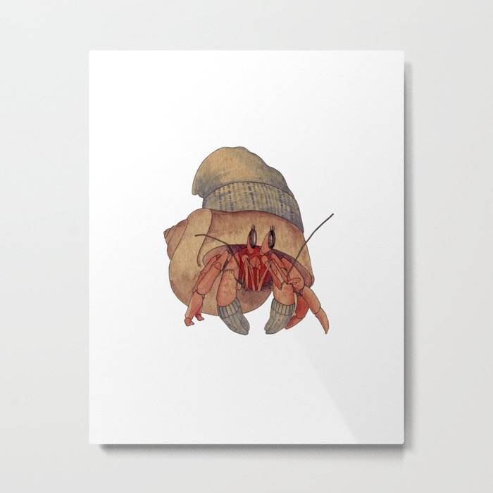 Winter Hermit Crab Metal Print