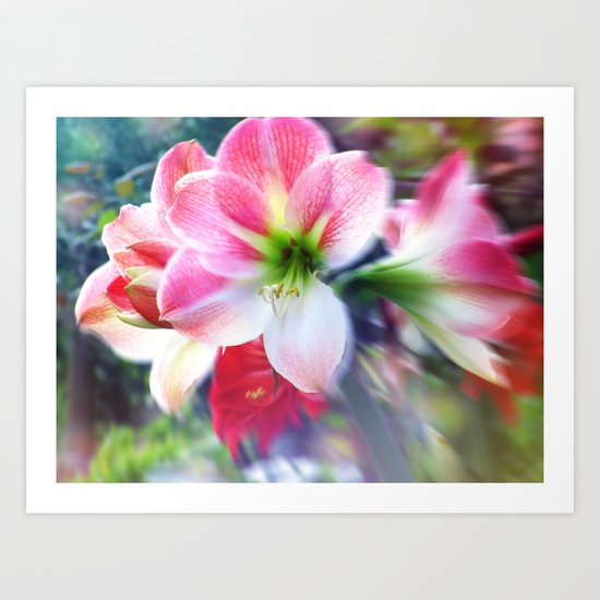 Atmospheric Amaryllis Art Print