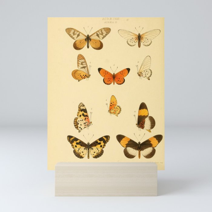 Small Lepidoptera Pattern WFK Mini Art Print
