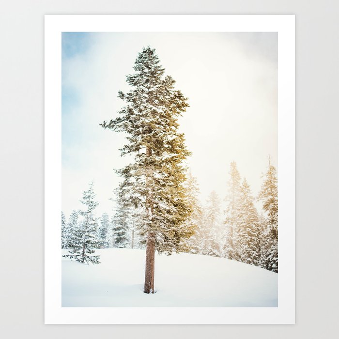 Snowy Tree | Winter Snow Forest Nature Photography Art Print