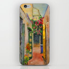 St. Croix Alley iPhone Skin