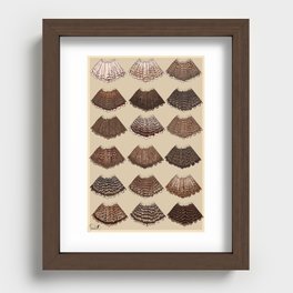 Red-Tailed Hawk Tails (Passage) Recessed Framed Print
