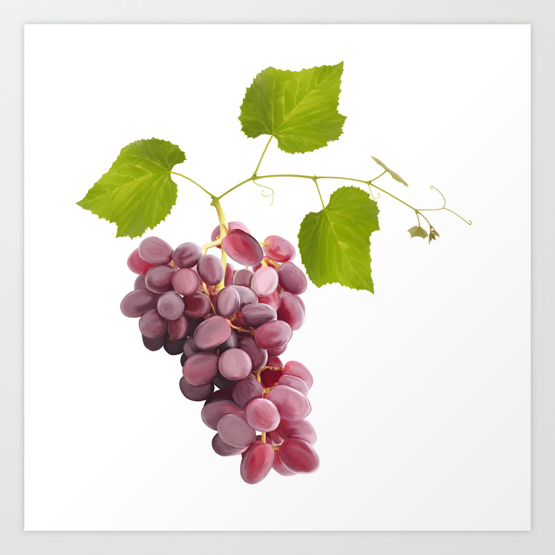 Ripe Red Grape Fruits With Leaves Isolated On White Digital