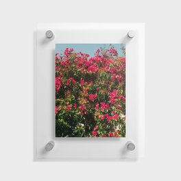 Vintage Flower Festival | Pink Flowers in Bush | Nature & Travel Photography Floating Acrylic Print
