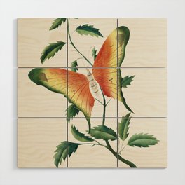 Rose Bush and Butterfly Wood Wall Art