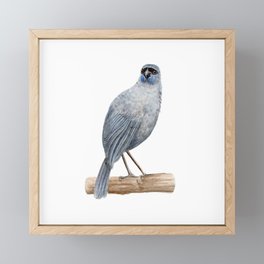Kokako - a native New Zealand bird 2013 Framed Mini Art Print