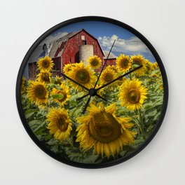 Golden Blooming Sunflowers with Red Barn Wall Clock