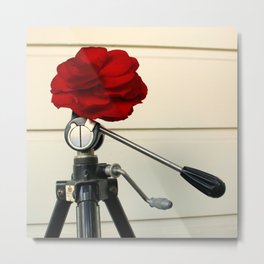 And, Hold It... Metal Print | Color, Funcaption, Photo, Nature, Oneofacard, Flower, Empiretripod, Begonia, Digital, Red 