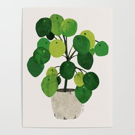 Pilea Peperomioides interior plant Poster | Painting, Houseplants, Interiorplants, Leaves, Indoor, Tropical, Botanical, Nature, Pilea, Ficus 