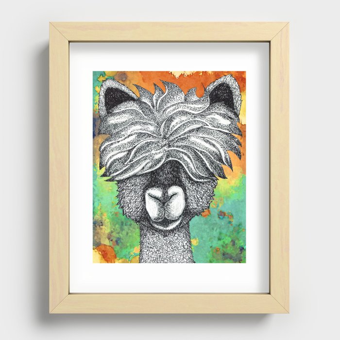 Llama with the Good Hair Recessed Framed Print