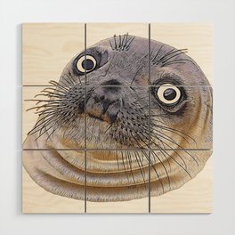 Seal Face Funny Pinnipeds Afraid Mistake Caught Act Wood Wall Art