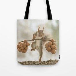 Squirrel the nut carrier Tote Bag