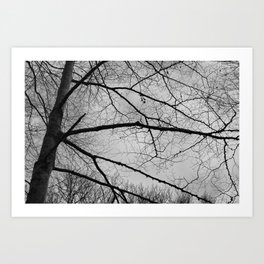 trees whispering (2) Art Print