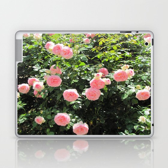 Italian roses Laptop & iPad Skin