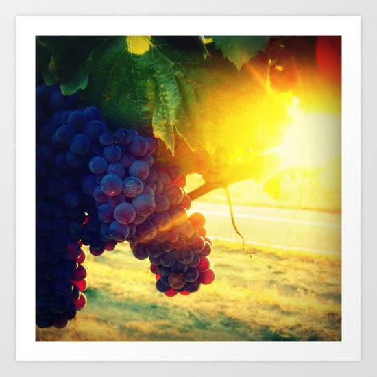Harvest II Art Print