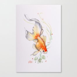 Goldfish - Watercolor Canvas Print